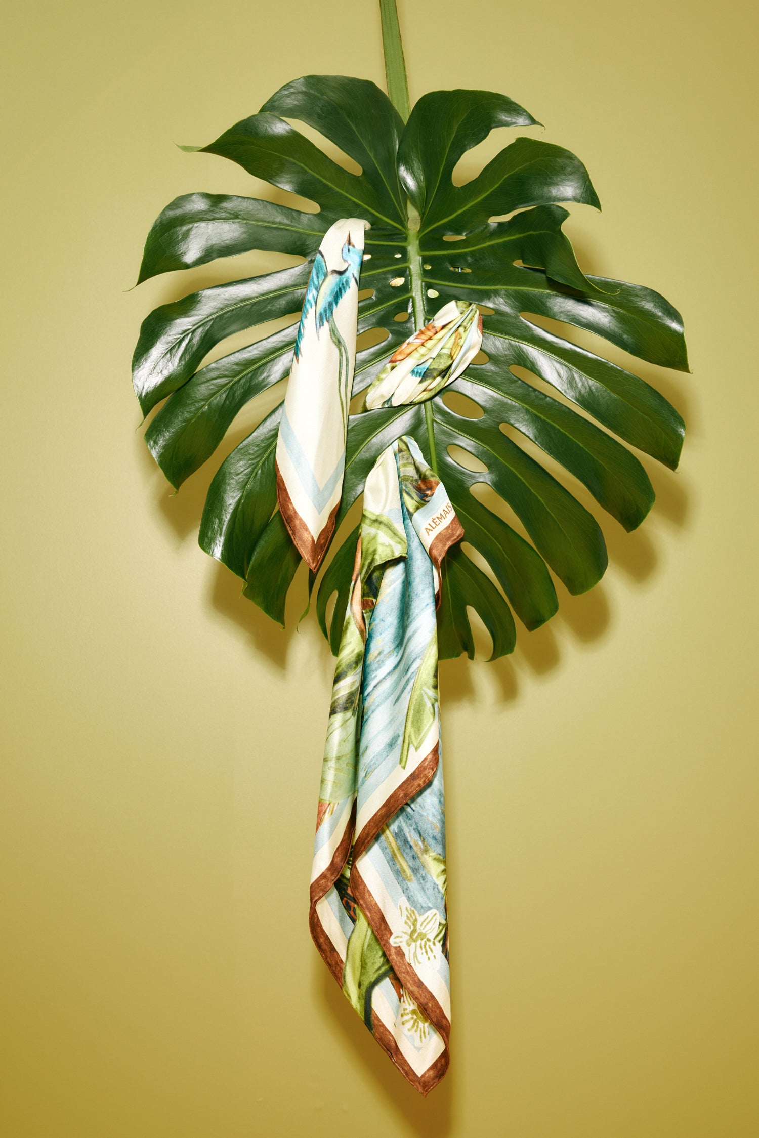 Toucan Tango Silk Scarf